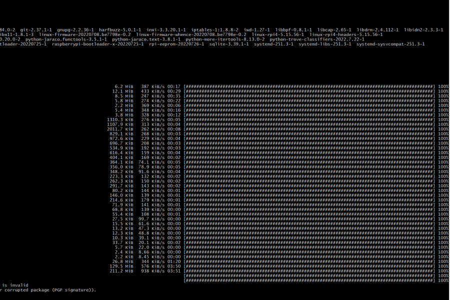 Arch Linux package cache cleaning